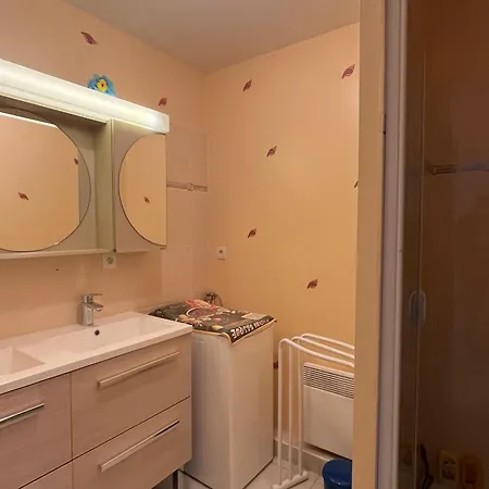 2 Proche Gare Et Commerces Avec Garage - Fr-1-843-28