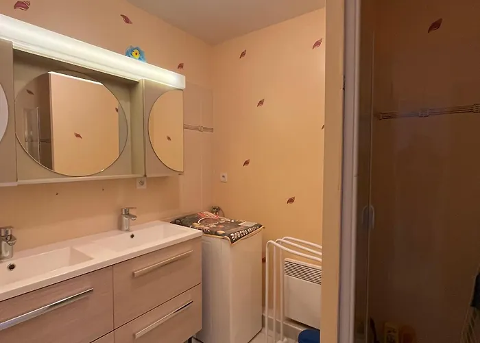 2 Proche Gare Et Commerces Avec Garage - Fr-1-843-28